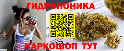 ПСИЛОЦИБИНОВЫЕ ГРИБЫ Камышлов