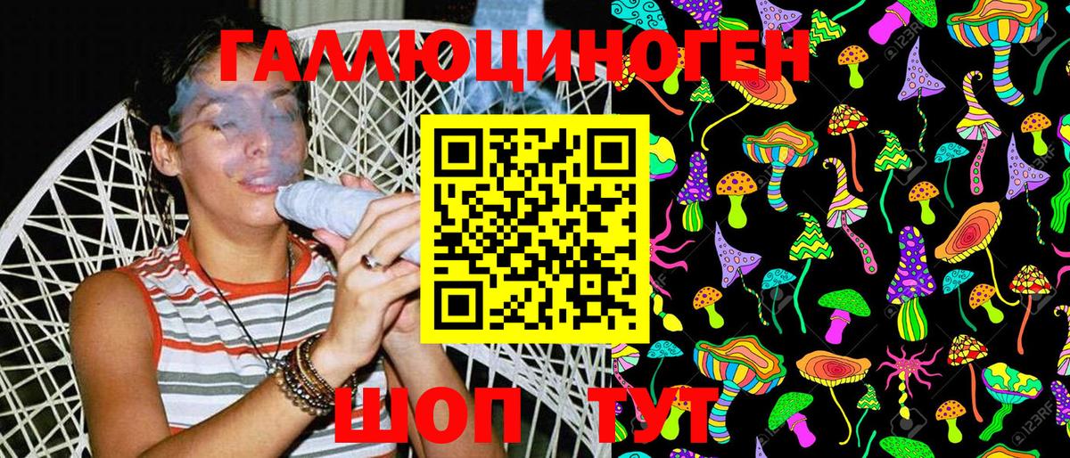 Галлюциногенные грибы GOLDEN TEACHER  Вход с VPN  Галлюциногенные грибы GOLDEN TEACHER  Новодвинск 