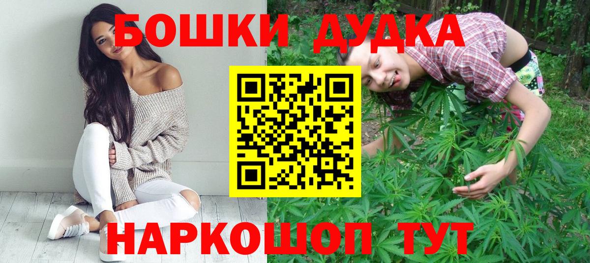 Конопля гибрид Новодвинск